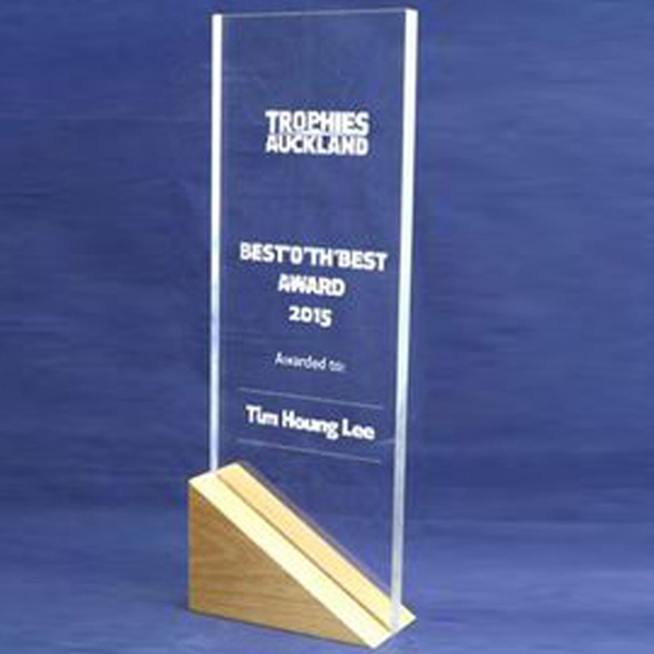 acrylic-trophy 1
